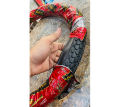 Cycle Tyre 20 inch for  Bicycle Cycle, Mountain Bike size - 20 X 2.125 and 20 X 1.3/8 Tire and tube Outer & Inner. 