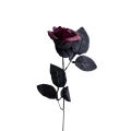 HomeInn Flower Eco-friendly Artificial Black Flower Bouquet Red Rose. 
