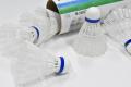 Pack of 6- Badminton Shuttlecocks - Plastic. 