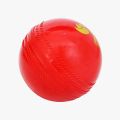 Practice Cricket Hard Ball ( Synthetic ). 