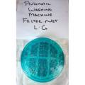 Phool Filter Washing Machine Parts- PF-2. 