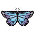 Butterfly Wings Kids Butterfly Dress Up Wings Girls Fairy Wings Toddler Dress Up Costume Rainbow/Blue Butterfly Wing Fairy Shawl. 