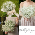 1/5Pcs Baby's Breath Gypsophila Artificial Flowers / Real Touch Decorative Artificial Flower Holding Bouquet Bride Bouquet. 