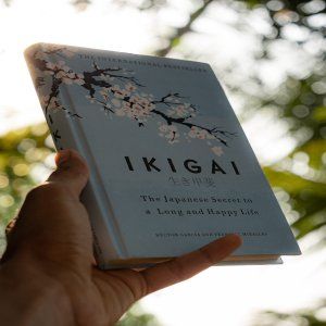Ikigai:%20The%20Japanese%20Secret%20to%20a%20Long%20and%20Happy%20Life%20by%20H%C3%A9ctor%20Garc%C3%ADa%20,%20Francesc%20Miralles%20-%20Image%203