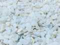 White Marble Gravel 1 KG - Large Size - Aquarium and Decorative Stones. 