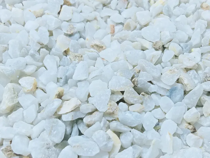 White%20Marble%20Gravel%201%20KG%20-%20Large%20Size%20-%20Aquarium%20and%20Decorative%20Stones%20-%20Image%207