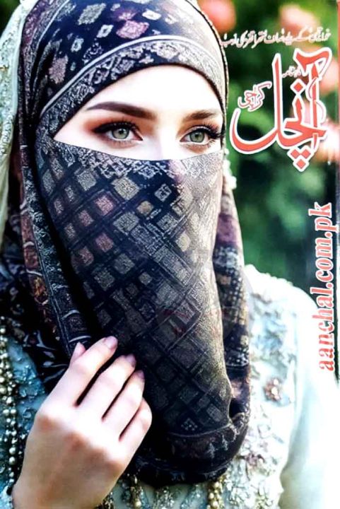 Monthly Aanchal July 2025,Monthly Digest