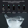 Glass Weather Forecasting Tool Handcrafted Bird Shape Weather Forecaster Barometer for Accurate Sunny Cloudy Day Predictions 30ml Glass Bird Barometer. 