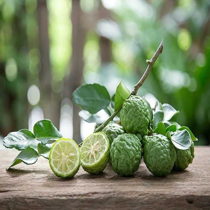 Citrus%20Kaffir%20Lime%20Fruit%20Tree%20Seeds%20-%20Image%202