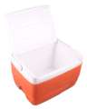 Cool Ice Box Small Cooler Portable ideal for Camping & Hiking Storing bottles, can. 