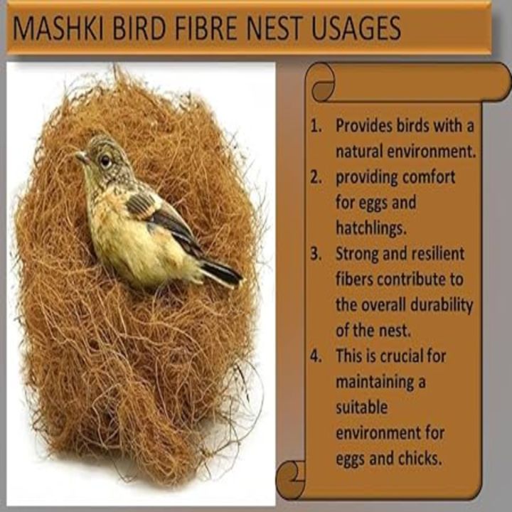 Nesting%20Material%20for%20Birds%20II%20PACK%20of%203%20+%201pc%20Extra%20on%20Every%20Order%20.%7C%7C%20Grass%20Nest%20For%20Finches%20And%20Small%20Birds%20%7C%20nesting%20material%20%7C%20Coconut%20Fiber,%20Nesting%20Material%20Birds%20Coconut%20Grass%20For%20Small%20Nesting%20Birds%20-%2025%20to%2030%20grams%20-%20Image%204