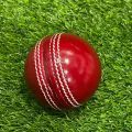 Hard Ball 20 Over + 1 ball Cricket Ball - Red. 