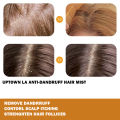 UPTOWN LA Anti Dandruff Hair Mist For Dandruff Removal and Itching Control For all Hair types. 