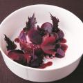 Perilla (Shiso) Seeds 15gm. 