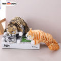 YBC Children Cute Electric Ragdoll Cat Dolls Plush Toy Sound Motor Kids Toys Gifts. 