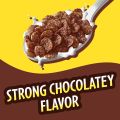 Cereals |Post Cocoa PEBBLES Cereal, Chocolatey Kids Cereal, Gluten Free Rice Cereal | 311g in best & original quality | Imported. 