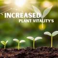 Plant Protein +. 