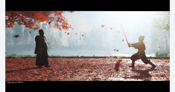 Ghost%20of%20Tsushima%20Director's%20Cut%20-%20PlayStation%204%20-%20Image%202
