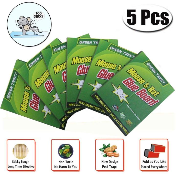 Pack of 5 - Mouse & Rat Catcher, Rat Terminator