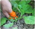 uick Finger Rubber Vegetables Thumb Knife, Finger Covers for Kitchen and Garden, Thumb Cutter. 