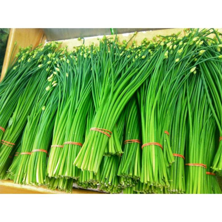 Garlic%20Chives%20Seeds%20Home%20Kitchen%20Gardening%20Vegetable%20Seeds%20-%20Image%202