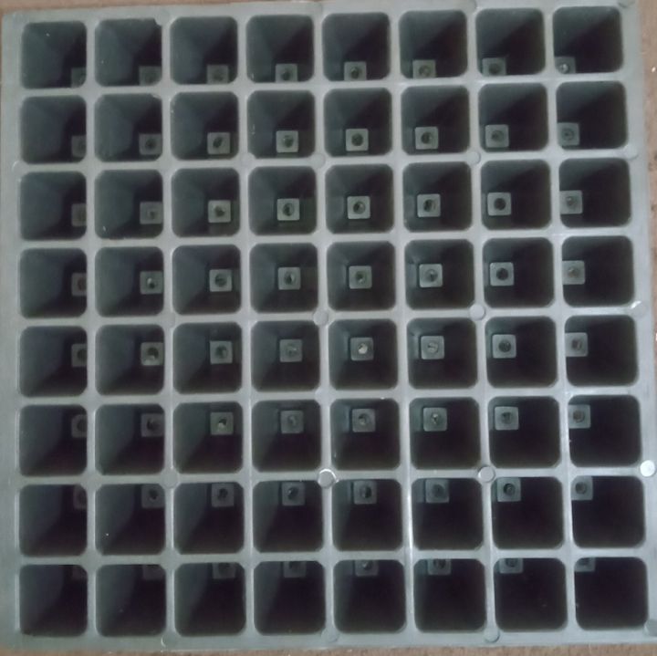 Seedling Tray 64 Holes for Seeds Germination cell sixe 1x1 inches