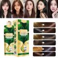 Bubble Plant Hair Dye Shampoo 300ml Hair Dye Shampoo Instant Hair Color For Gray Hair Coverage Natural Hair Coloring Chestnut. 