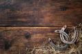 Old Rusty Vintage Metal Horseshoe Antique Wall or Door Decor. 