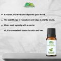 Patchouli Essential Oil – Fights Depression, Deodorizes Bad Odour & Soothes Inflammation. 