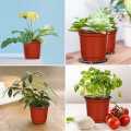 Pack of 10 Premium Quality 4.1×4.1Inches Plastic Flowerpot - Plastic Pots for Plants - Plastic Pots for Home Gardening - Plastic Pots for Seedling - Premium Quality Plastic Pots. 