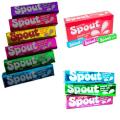 Lotte Spout Bubble Gum - Multi Delicious Flavors, Long-Lasting Chew. 