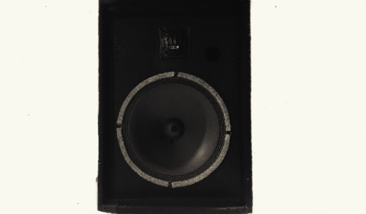 Speaker%2010%20inchs%20with%20wooden%20balck%20box%20-%20Image%203
