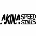 【Universal Car Parts Store】Aliauto AKINA Sticker Funny Vinyl Automobile Stickers Cars Waterproof Sticker Sunscreen,12CM*3CM. 