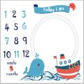 Newborn Baby Monthly Growth Milestone Blanket Photography Props Background Cloth Commemorate Rug DIY Infant Boy Girl Photo Accessories. 