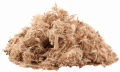 Elm Bark Cut, 4 oz (Ulmus rubra). 