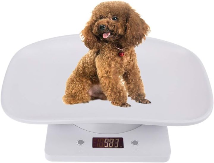 Digital Animal Scale For Dog and Cat