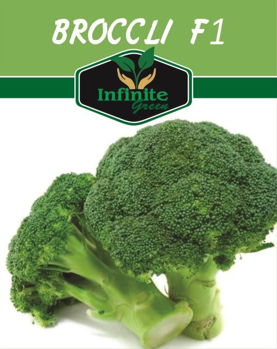 Broccoli%20F1%20Hybrid%20Seeds%20SAKATA%20(30%20Plus%20seeds)%20-%20Image%202