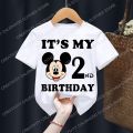 Mickey Mouse Children T-Shirt Disney Birthday Number 1-9 Boy Girl Clothes Kid Kawaii Anime Cartoons Little Baby Casual Tee Shirt. 