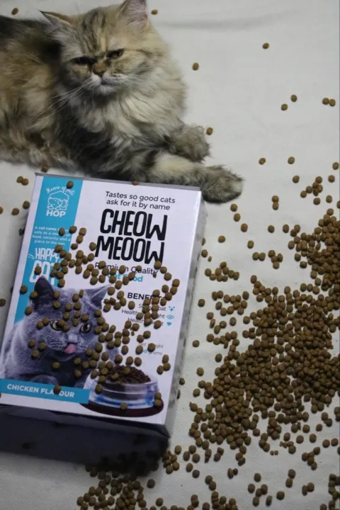 Pack%20of%202%20CHEOW%20MEOOW%20PREMIUM%20QUALITY%20CAT%20FOOD%20Healthy%20Quality%20Dry%20Cat%20Food%20contains%20Real%20chicken%20Best%20food%20for%20Cats%20-%20Suitable%20for%20all%20ages%20Taking%20good%20care%20of%20nutrition%20and%20taste,%20Fluffy%20Cat%20Food%20makes%20a%20cat%20healthy,%20Best%20Kitten%20Food%20-%20Image%207