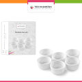 Techmanistan Pack of 6 - Porcelain Baking Ramekins Creme Fruit Serving Dessert Serving Custard Sauce Pudding Dipping Bowl. 