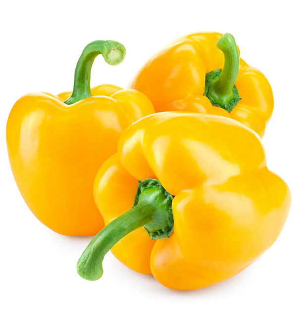 Capsicum%20,%20Bell%20Pepper%20Yellow%20Yeeds%20-%20Image%202
