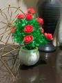 Beautiful Flower Pots Withh Fomic Roses. 