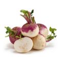 Shaljam ( Turnip seeds). 