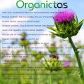 MILK THISTLE SEEDS POWDER - Organic for Tea Silybum Marianum Powder Natural Detox 100g. 