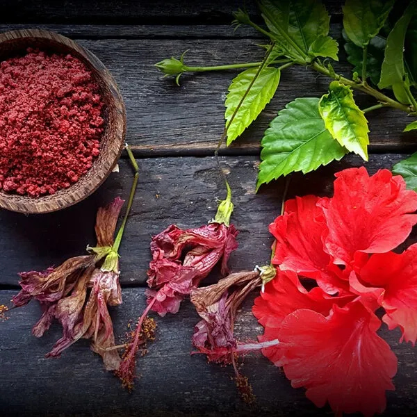 Organic%20Hibiscus%20Flower%20Powder%20100%20gm%20Organic%20Hibiscus%20Flower%20Powder%20100%20gm%20-%20Image%202