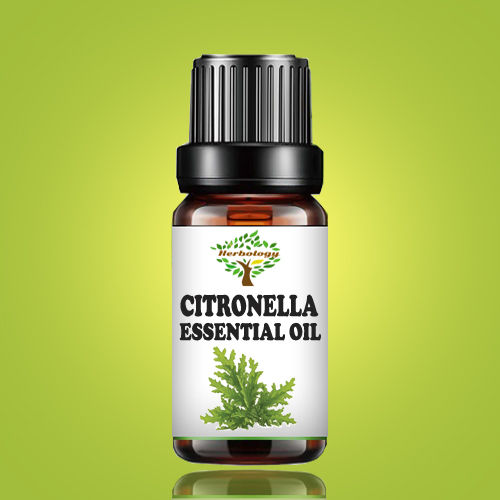 Herbology%20Citronella%20Aromatherapy%20Essential%20Oil%20100%25%20Pure%20Therapeutic%20Grade,%20Steam%20Distilled,%20100%25%20Pure,%20Vegan,%20Aromatherapy,%20Diffuser,%20Ceramic%20Diffuser,%20Pure,%20Concentrated,%20EO,%20Aroma%20Diffuser%20-%20Image%202