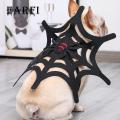 Pet Spider Web Halloween Costume Halloween Spiderwebs Pet Costume Eye-catching Adjustable Fastener Tape Dogs Cats Supplies Halloween Pet Costume Spider Web. 