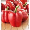 Capsicum Red F1 Hybrid Vegetable Seeds Bell pepper. 