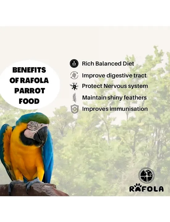Big%20Parrot%20Food%20-%20Rafola%20Premium%20Bird%20Food%20for%20Exotic%20Birds%20(1%20Kg%20Bag)%20%7C%20Long-Lasting%20Nourishment%20and%20Optimal%20Health%7C%20High-Variety%20Formula%20%7C%20Mix%20Blend%20-%20Image%203