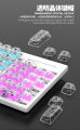 TRANSPARENT MECHANICAL KEYBOARD RGB RAIKU L1000 HIGH QUANLITY 19 MODES OF LIGHT PROFESSIONAL GAMING KEYBOARD. 